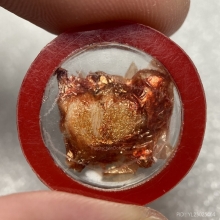 ตัว พ พาน หลวงปู่เย็น วัดสระเปรียญ (ตัวเล็กครับ) 