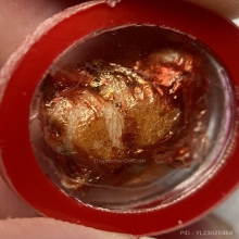 ตัว พ พาน หลวงปู่เย็น วัดสระเปรียญ (ตัวเล็กครับ) 