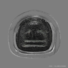 หัวโตแข้งหมอน พิมพ์ท้อปสุด องค์ดาราหนังสือคีโทถั่วทอง