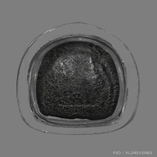 หัวโตแข้งหมอน พิมพ์ท้อปสุด องค์ดาราหนังสือคีโทถั่วทอง