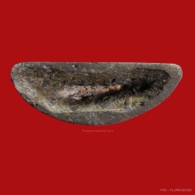 พระรัชกาล