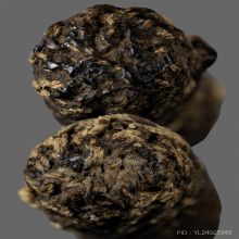 ตะกรุดยันต์กระดาษสา หลวงพ่ออี๋ แห่งวัดสัตหีบ 