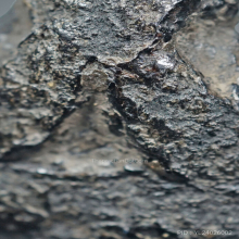 หลวงพ่อแก้ว วัดในปากทะเล