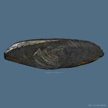 พระกริ่งเล็ก ลพ.วัดเขาตะเครา เนื้อทองเหลือง ปี2512