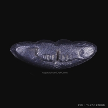 พระปิดตาเนื้อแร่ หลวงพ่อน้อย วัดธรรมศาลา พิมพ์หูกระต่าย 