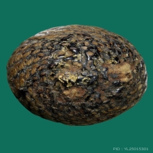 ลูกอมหลวงพ่อปลอด วัดในปากทะเล