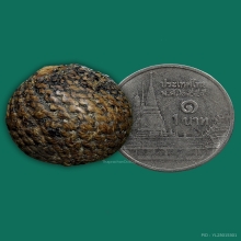 ลูกอมหลวงพ่อปลอด วัดในปากทะเล