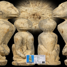 ลิงหลวงปู่ทิม วัดละหารไร่