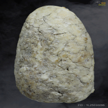 พระสมเด็จวัดพลับ พิมพ์พุงป่องใหญ่ 