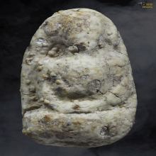 พระสมเด็จวัดพลับ พิมพ์พุงป่องใหญ่ 