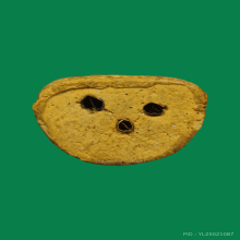 พระปิดตาหลวงพ่อลมูลวัดเสด็จปี2512