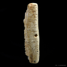 พระสมเด็จวัดเกศไชโย พิมพ์หกชั้น อกตลอด