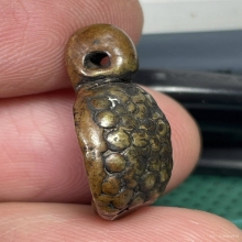 เต่าหลวงพ่อเงิน วัดบางคลาน เนื้อหาจัดจ้านมาก