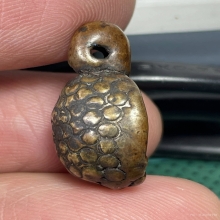 เต่าหลวงพ่อเงิน วัดบางคลาน เนื้อหาจัดจ้านมาก