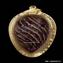 หมากทุยหลวงปู่เอี่ยม วัดหนัง