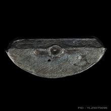 หลวงพ่อทวดหัวมวย เนื้อเมฆพัตร วัดอ่างทองปี06 อ.ทิมเสกสภาพสวย