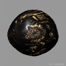 เบี้ยหลวงปู่เพิ่ม วัดกลางบางแก้ว ยุคต้น