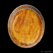 ลูกกลองพุทธม้วนโลก หลวงปู่ศุข วัดปากคลองมะขามเฒ่า