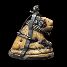 เสือหุบปากหลวงพ่อปานวัดคลองด่าน