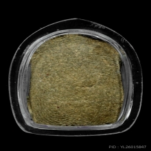 หลวงปู่บุญ วัดกลางบางแก้ว ซุ้มเว้า เนื้อว่าน