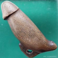 ปลัดขิกเขาควายเผือกอุดกริ่ง ยาว 3 นิ้ว