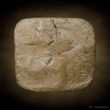 พระหลวงพ่อปาน วัดบางนมโค พิมพ์ทรงปลาหมอ