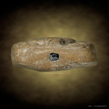 พระหลวงพ่อปาน วัดบางนมโค พิมพ์ทรงปลาหมอ