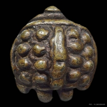 พญาเต่าเรือนหลวงพ่อเงิน วัดบางคลาน