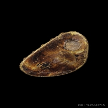 พระกริ่งจักรพรรดิไจยะเบงชร ครูบาอิน อินโท ปี2545