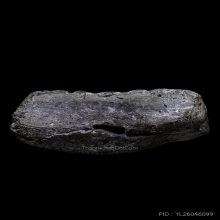 ติดที่1สมาคม หลวงปู่ทวด วัดประสาท เนื้อเทาดำ