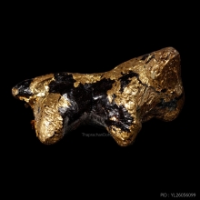 +บัตรสมาคม วัวธนู หลวงพ่อพุฒ วัดกลางบางพระ