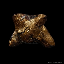 +บัตรสมาคม วัวธนู หลวงพ่อพุฒ วัดกลางบางพระ