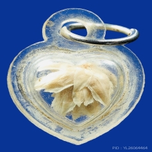 ดอกบานไม่รู้โรย หลวงพ่อแก้ว วัดหัวนา พร้อมเลี่ยมเดิม