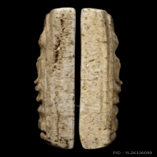 +บัตรเซียน100ปี สมเด็จวัดระฆัง 100 ปี ฟอร์มเศียรโต