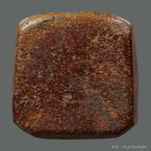 ขี่ปลาหมอหลวงพ่อปาน วัดบางนมโค