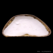 พระบูชา7นิ้ว หลวงพ่อสด วัดปากน้ำ รุ่น4 ป้ายแดง ปิดทองสภาพสวย