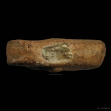 หลวงพ่อปาน