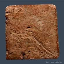 พระสมเด็จฐานคู่ หลวงพ่อโหน่ง วัดคลองมะดัน