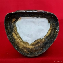 พระบูชาหลวงพ่อทันใจ วัดพระบรมธาตุ จ.ตาก ขนาด 5 นิ้ว 