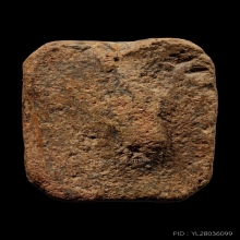 +บัตรสมาคม+บัตรป๋อง หลวงพ่อปาน ขี่ไก่หางสี่เส้น