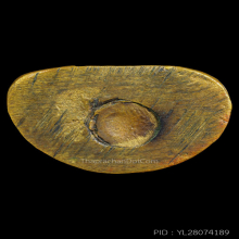 รูปหล่อหลวงพ่อเงิน รุ่นช้างคู่ พิมพ์ใหญ่ วัดท้ายน้ำ ปี 2526