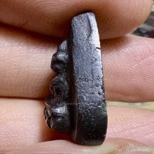 พระหล่อกลีบบัวเมฆพัด หลังจารย์ สวยเดิม ๆหายาก