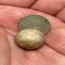 ลูกอมหลวงพ่อสงวน วัดไผ่พันมือ จ.สุพรรณบุรี