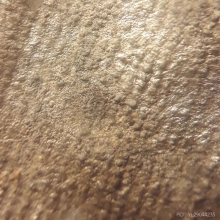 พระท่ามะปรางกรุสุโขทัย จ.สุโขทัย