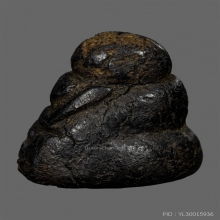 พระสังกัจจายน์หลวงพ่อแก้ว ออกวัดปากทะเล