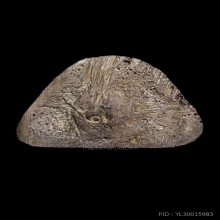 รูปเหมือนเสกตะปูถอนเนื้อเงิน หลวงพ่อยิดวัดหนองจอก