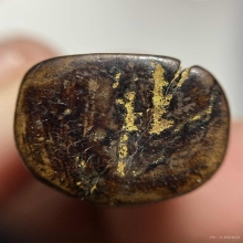 หลวงพ่อสุ่น วัดศาลากุน