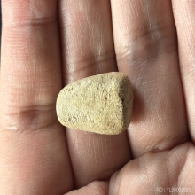 พระวัดพลับ พิมพ์พุงป่องใหญ่ สวยแชมป์ องค์ในตำนาน ชนะโล่รวม