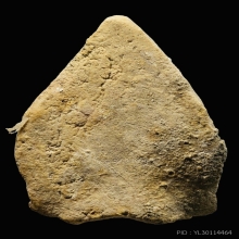 พระกลีบบัว กรุวัดพระธาตุไชยา สุราษฎร์ธานี เนื้อผงผสมว่าน