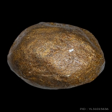 ลูกอมผงพรายกุมาร หลวงปู่ทิม วัดละหารไร่